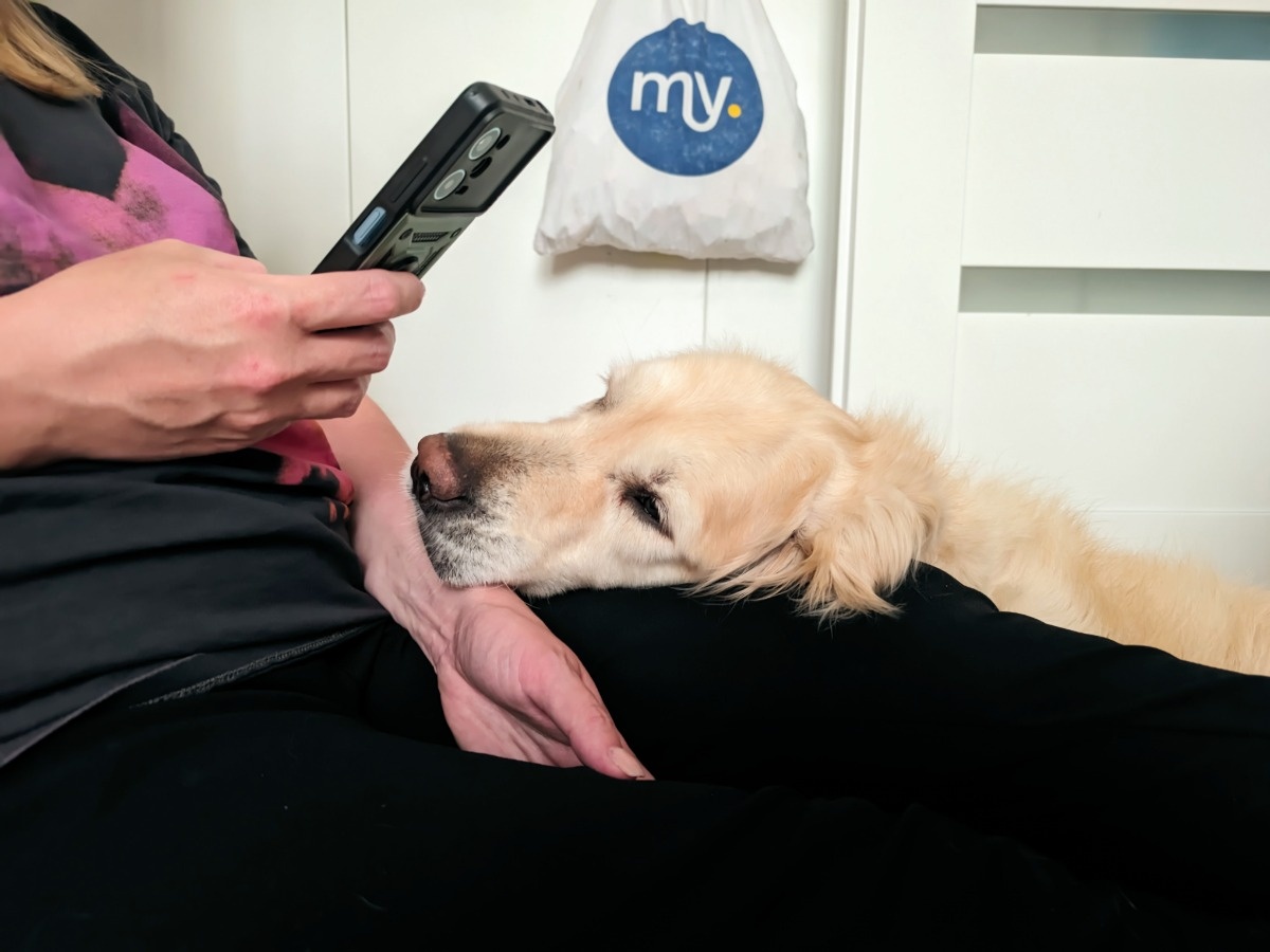 bc522b18-9391-4ac8-a130-b84e18d3feae