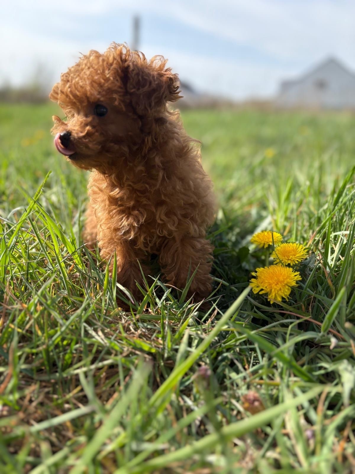 db3e2a73-8818-4456-a2e8-f6fd86bd49bf