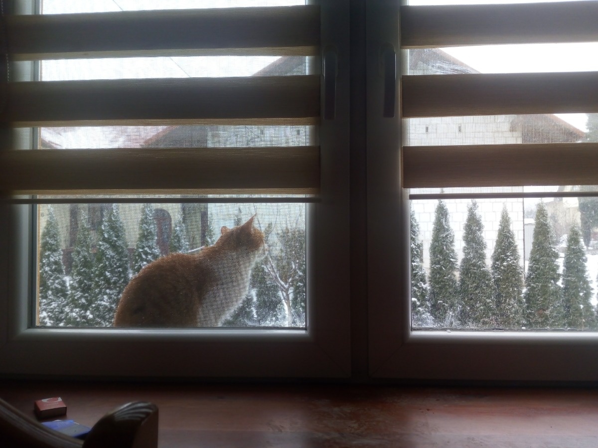 7acf5da1-486f-4bbc-8fc9-4b18e27efccd