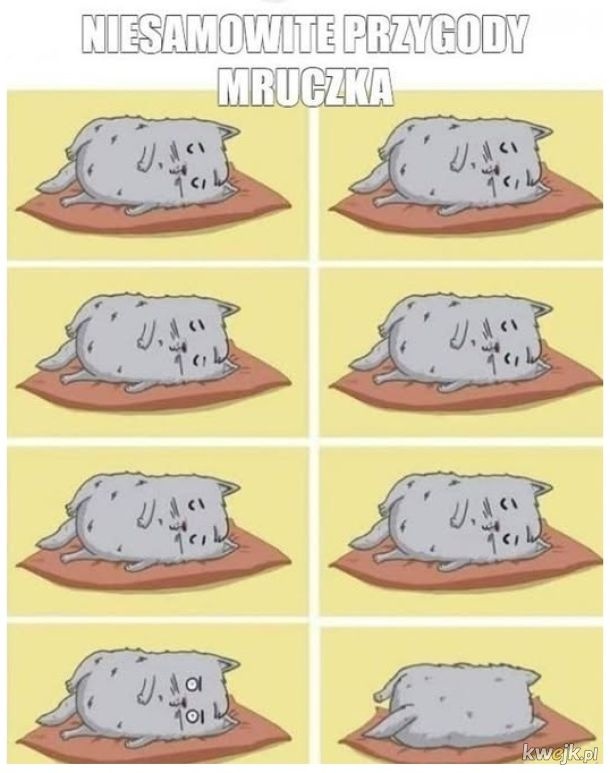 0a379872-bbaf-4876-9dd2-ef6b6515a730