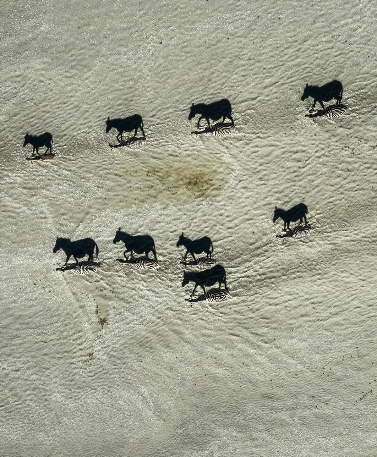 62ad6c40-3425-451c-a748-e9e2302a8e54