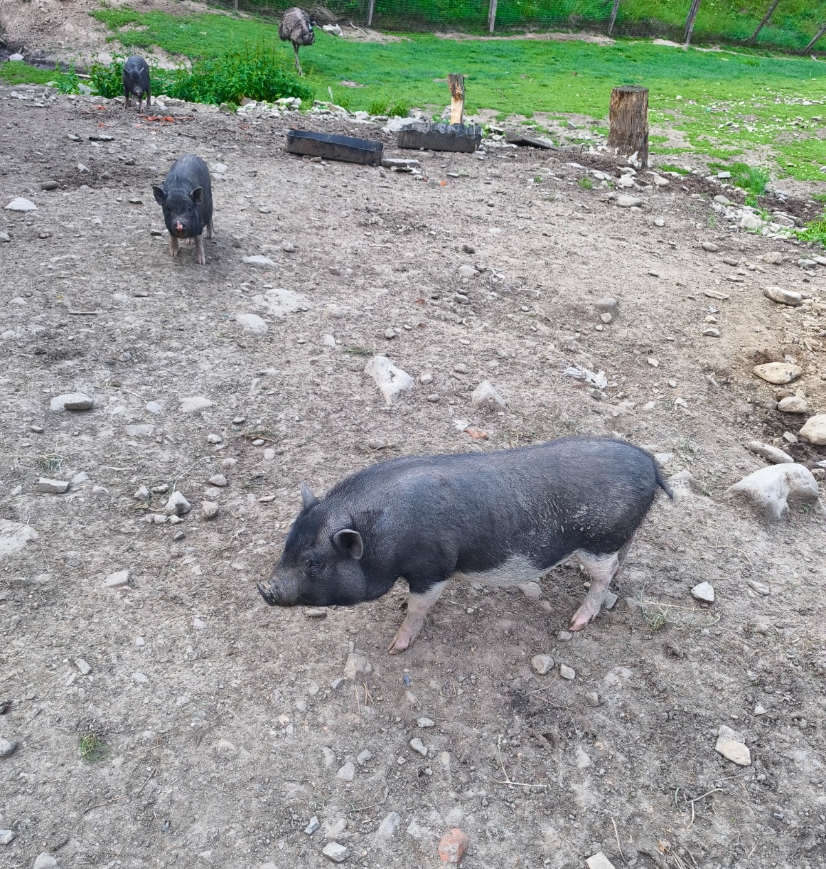 3a42447c-c243-4ea9-a647-c2976cea18d3