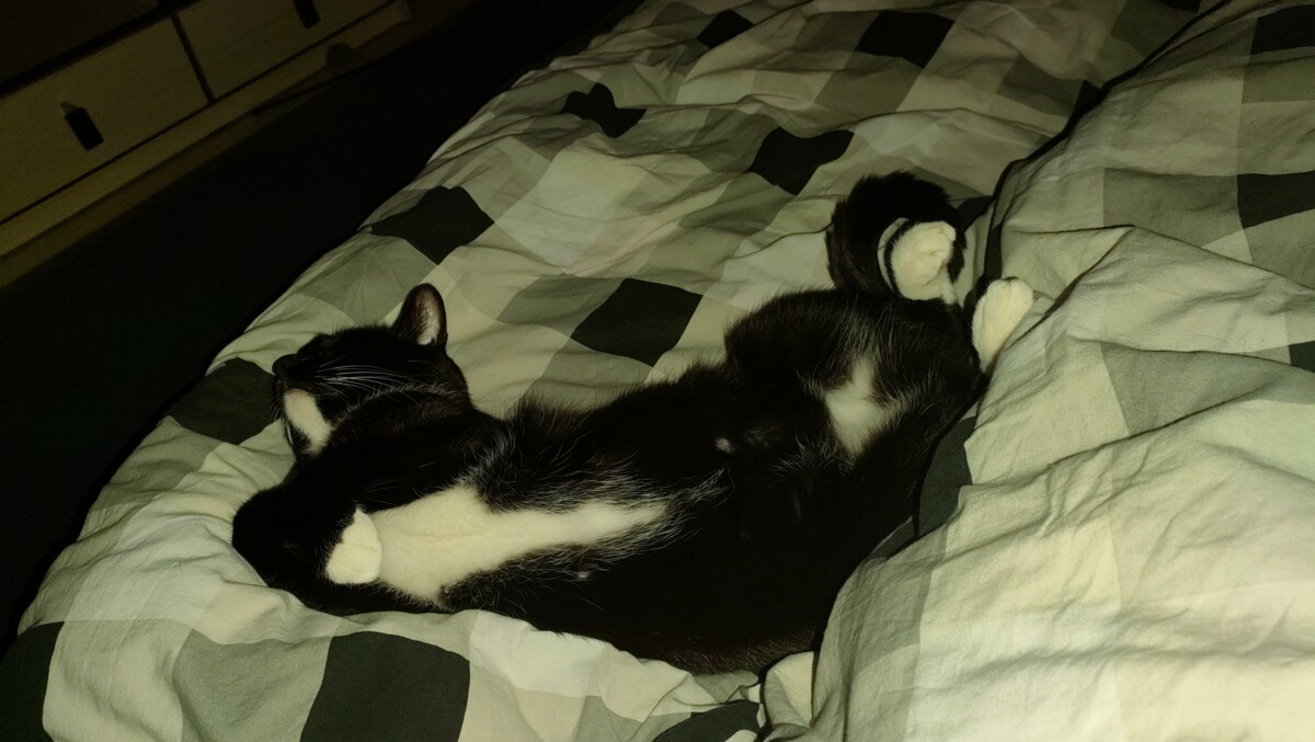 a882646c-7c42-4e7e-aa01-c5689e495cc4