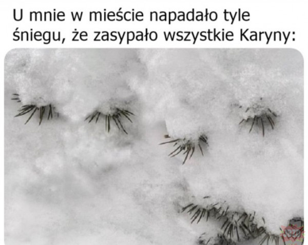 042bbecf-3ec0-4b64-ab6c-c636079e2fa9