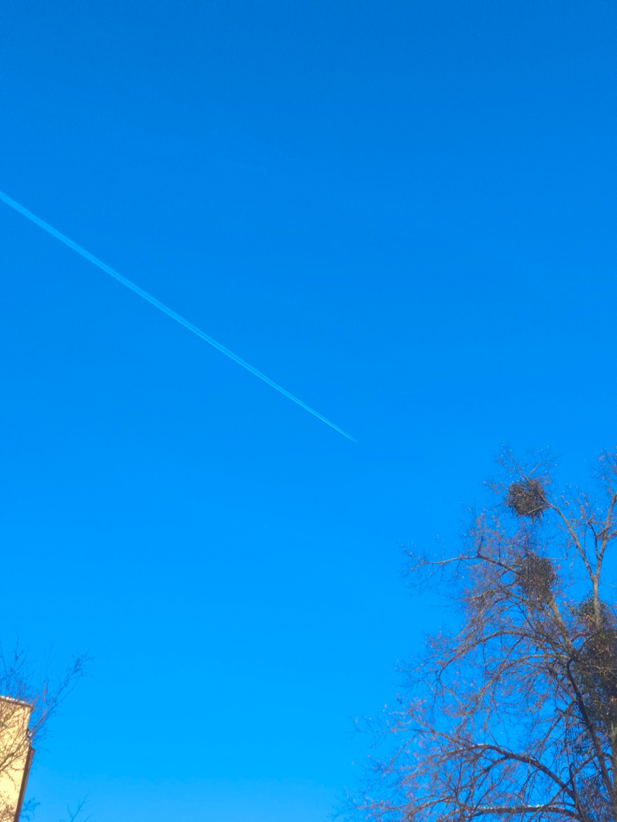 538ca867-0713-4226-99e9-4c3db99eec51