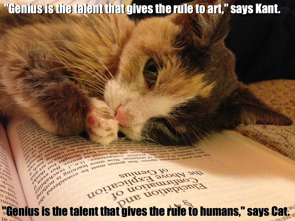 a7cd9808-fb21-46f8-a250-3f05e0786d30