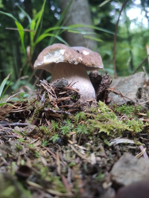 c47180a8-9a6f-4630-900a-bd97cfacb24c