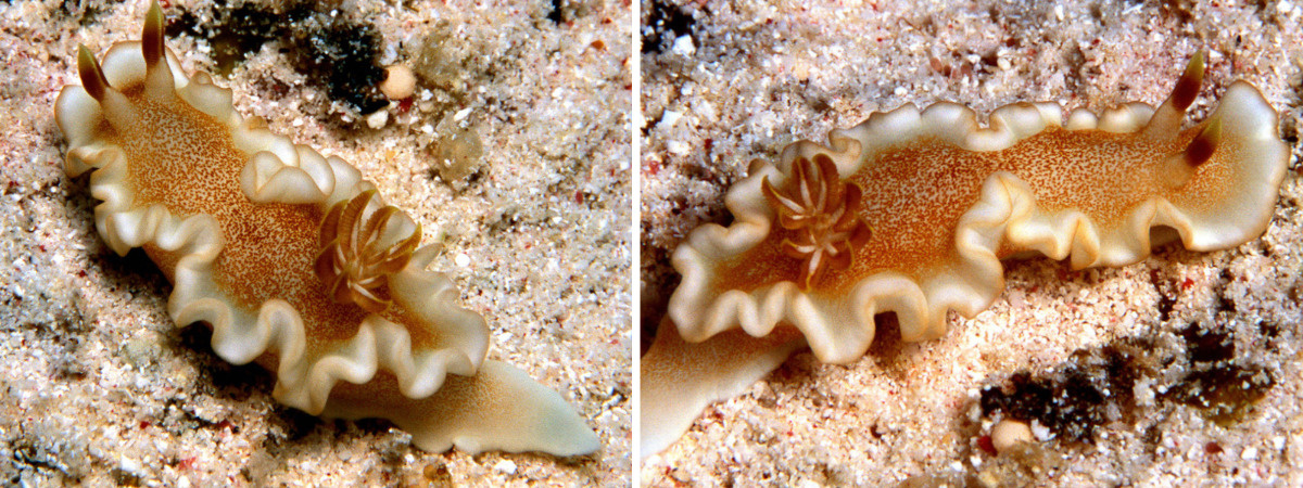 621f1984-4b7f-470c-b80e-e220624f0cb4