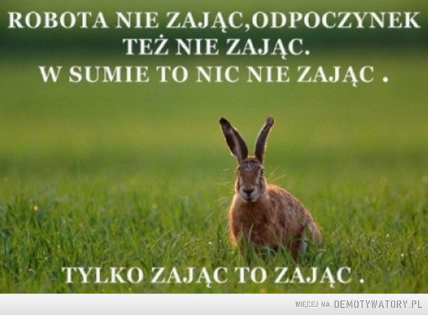 a58d4822-e32a-4933-aa3c-528da6dacb7c