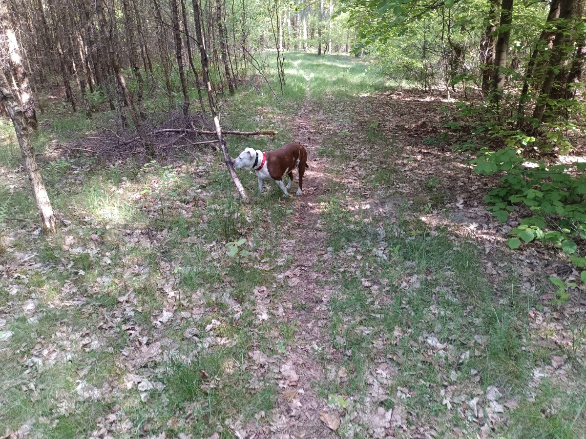 bb6012d9-4e04-4329-ad58-b9e614a9086d