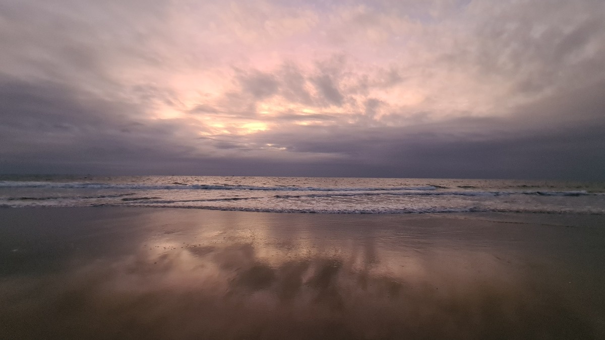 59092d2b-a85c-4c64-9b9b-38acd3029ef8