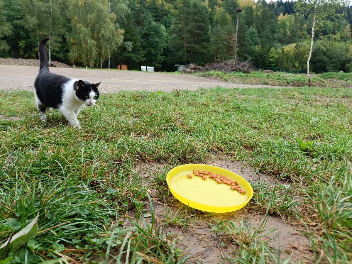 1158f433-1cf9-4eb6-9573-e22e698790a4