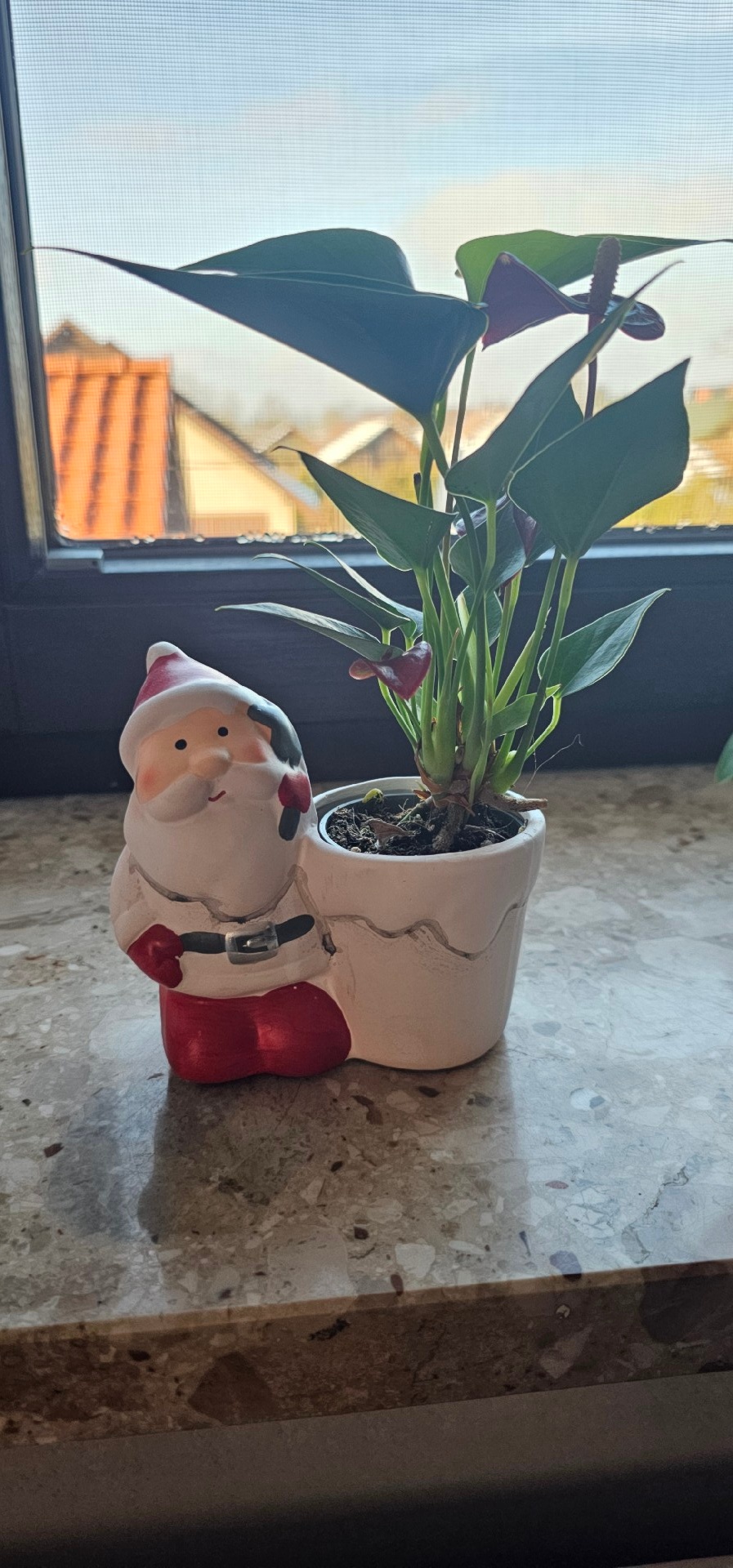 52912ed5-8efa-468f-b706-372fe1844977