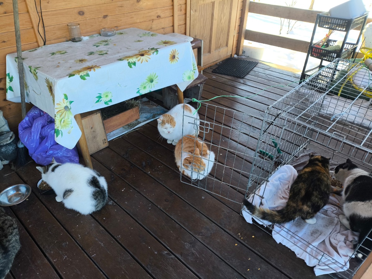 48572af0-f072-4006-940a-a7b05962e1c6