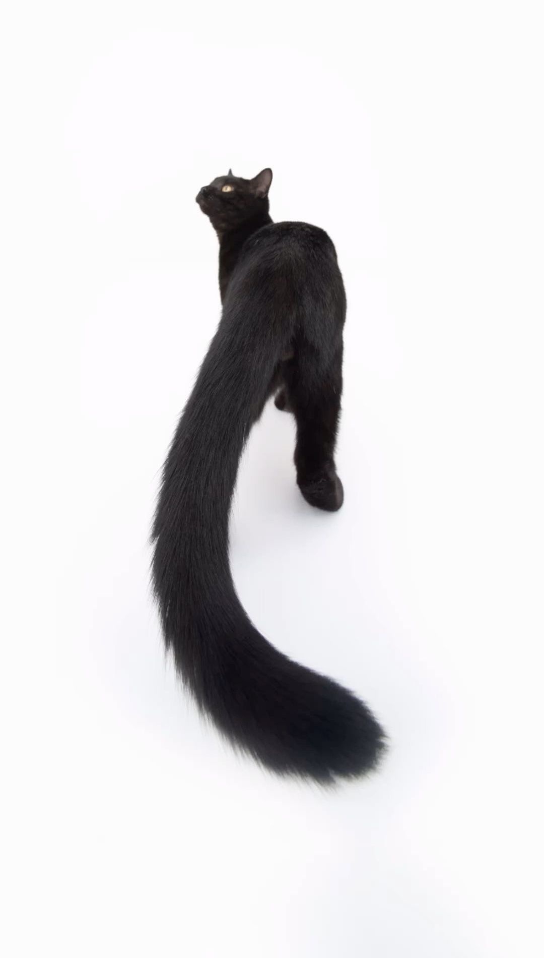 bfaee1d3-4350-4a79-9b64-d1dd36ecfd4e