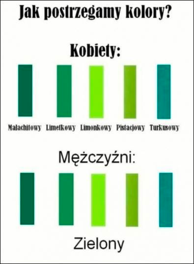 3669b5bf-4f4e-4ba6-adee-3f258ab060fd