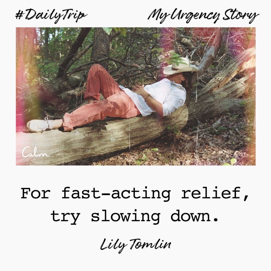 3d8a84dc-e70a-4a02-b223-bd82f077c9c0