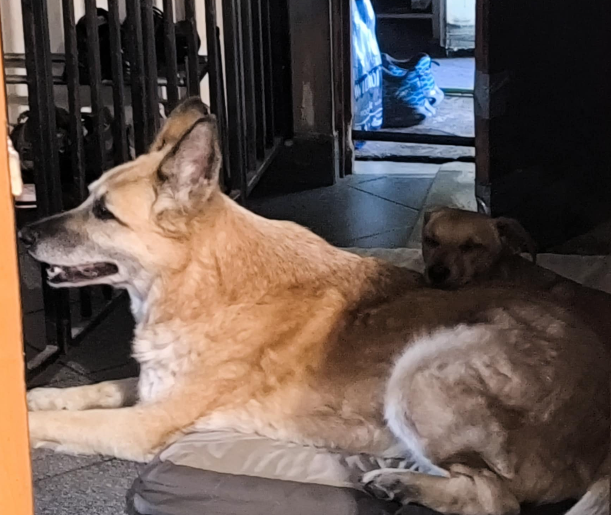 a8e48b89-2f04-4169-84f3-5cb53d4cdaaa