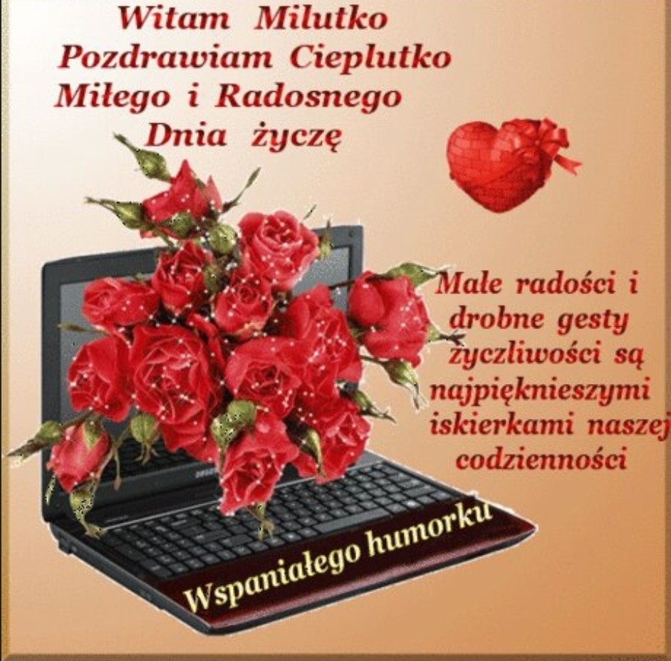 55988290-412b-41d4-b184-fbb15ac1e3a1