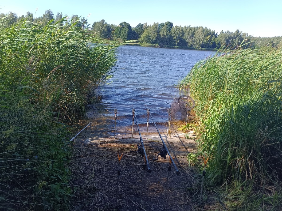 7f150548-49b3-4218-be78-4cee5332708a