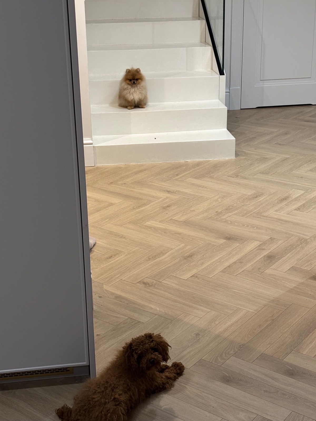 ac13f1c6-17f2-41e1-b960-6f40859a5fed