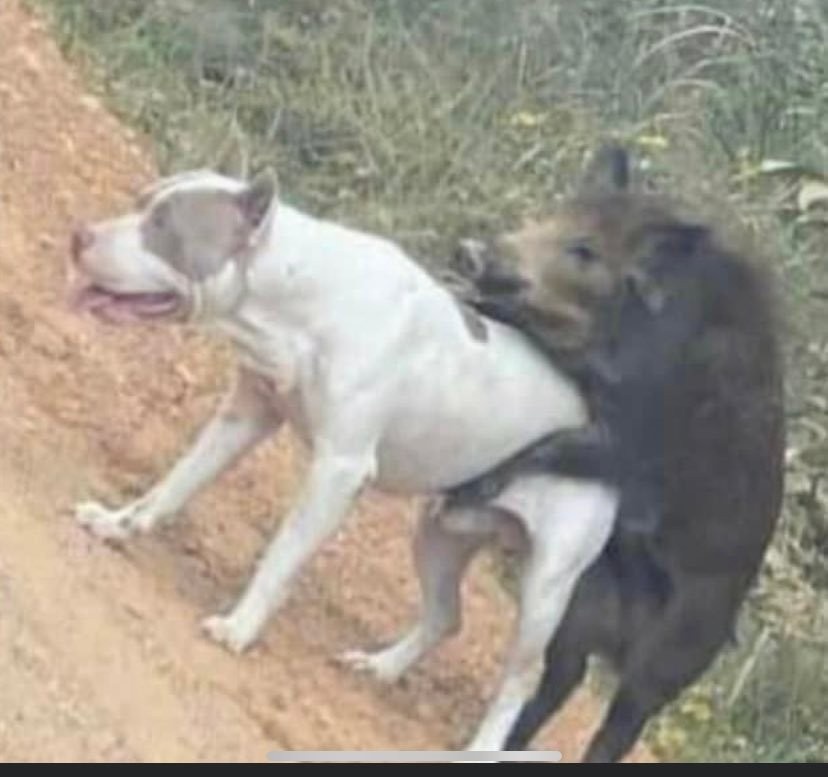 b649eac5-6038-47e2-8407-cbc763d432dd