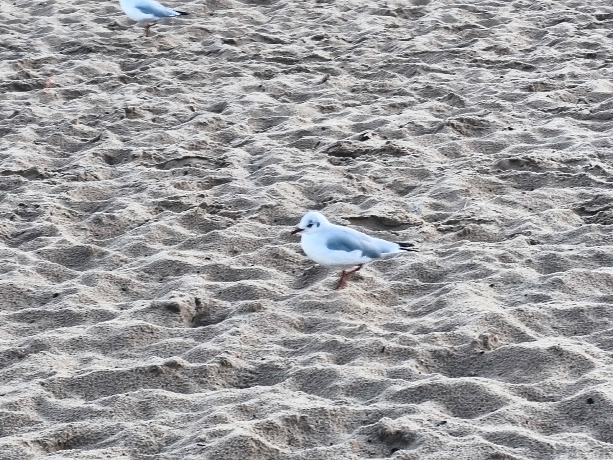 2948bdce-eed6-43c0-b872-e3a241d7d723