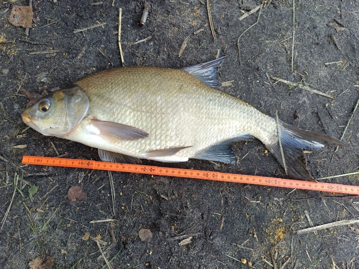 c2f911cf-8091-4b9c-b048-4d830a4f6770