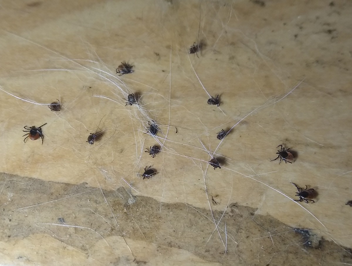 5c5e5f36-9445-4137-a7d7-2bcd8072adb2