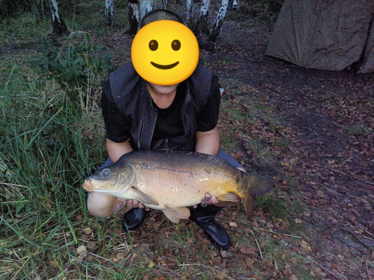 3e851cad-e572-4c0c-9b53-b62af2044212