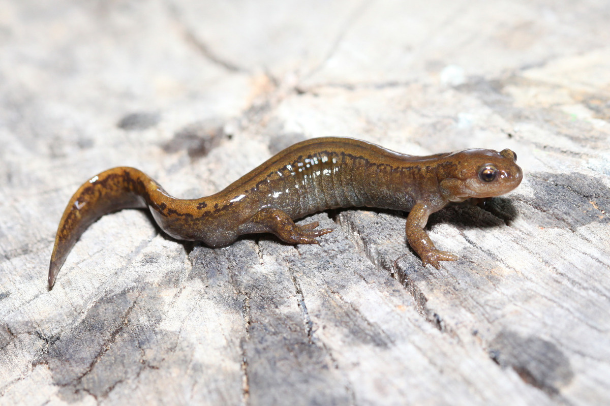 095e7412-10e3-4528-a768-f1b04f34f96e