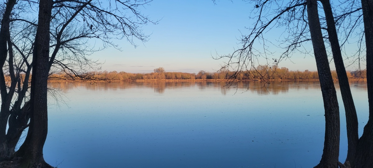 eeed569b-cd64-46dd-af73-7a998bf6d53f