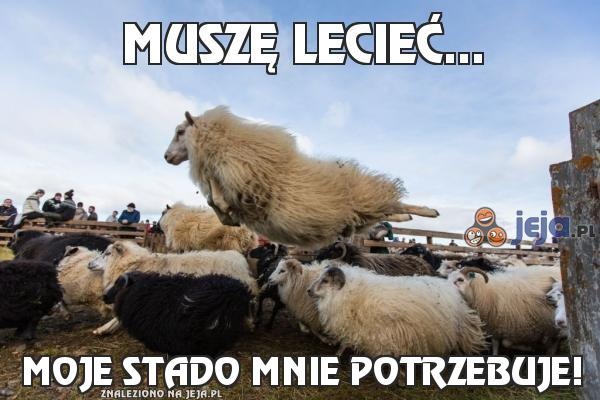 071c4f9f-2762-453b-8dbc-4724c4339549