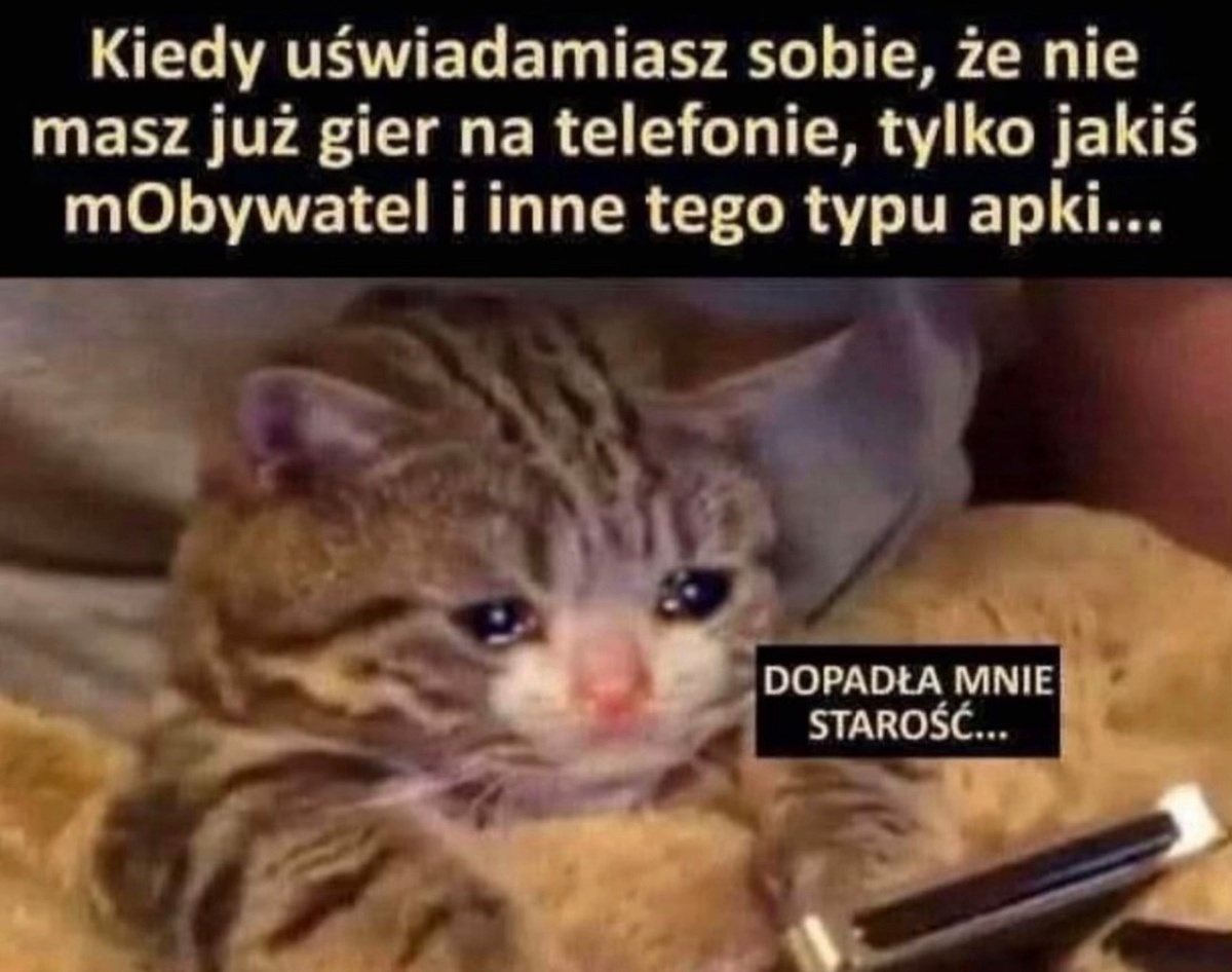 28adbfdb-fc68-45ef-b026-6c8e95eaaa3a