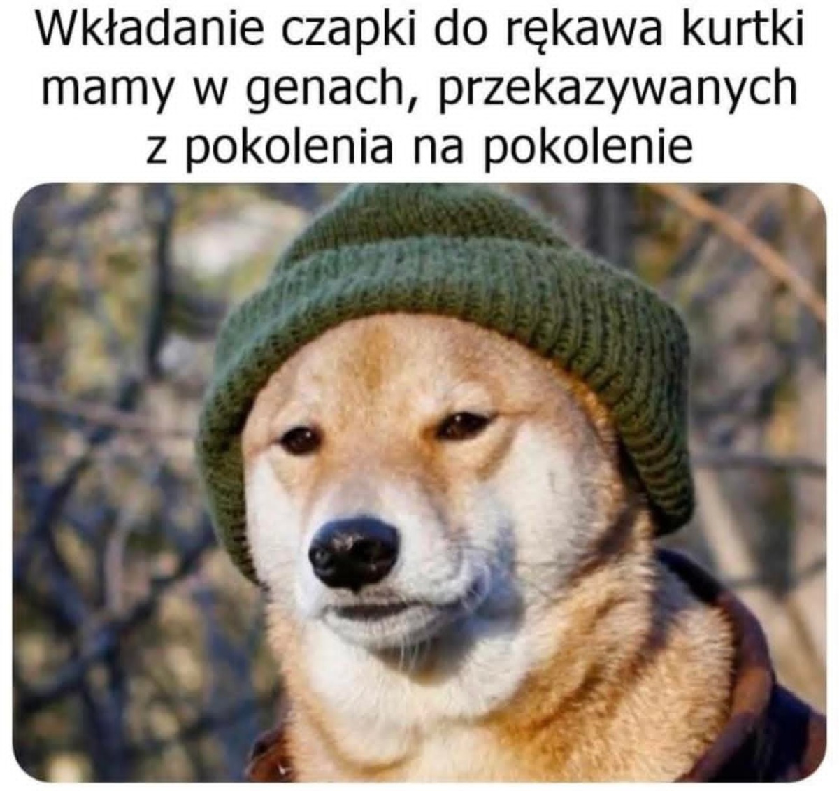 8acabec1-f568-4d09-8ddf-d30fa96864c9