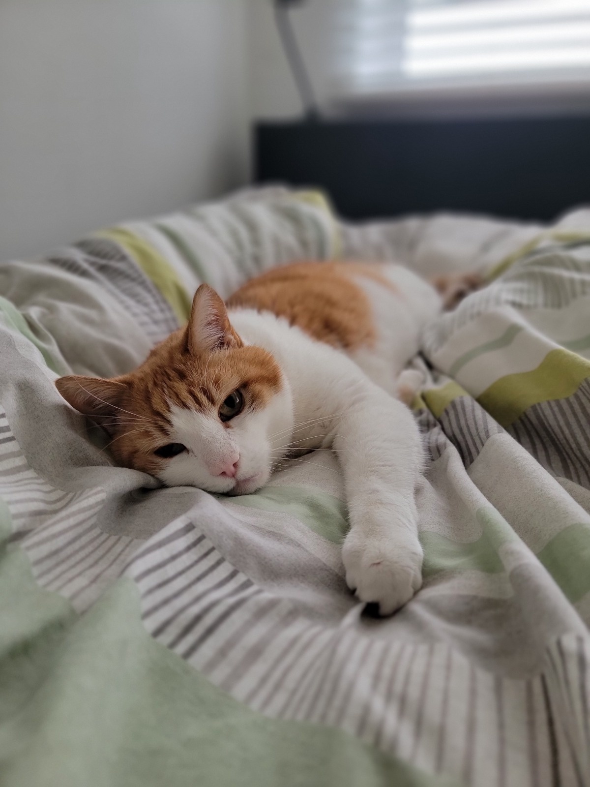 79fdac2b-c85e-45e2-9ba5-476e77f4751d