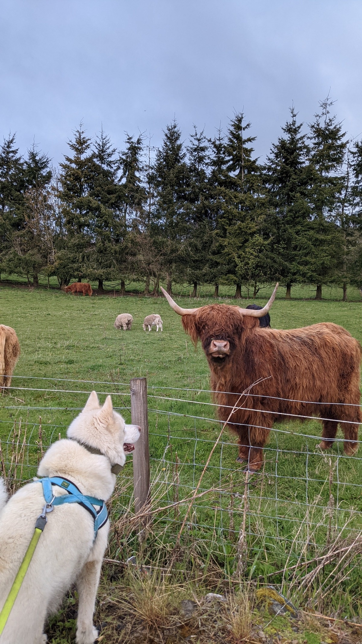 6b5b3ad5-9353-4be6-a2d6-9b47bd095119