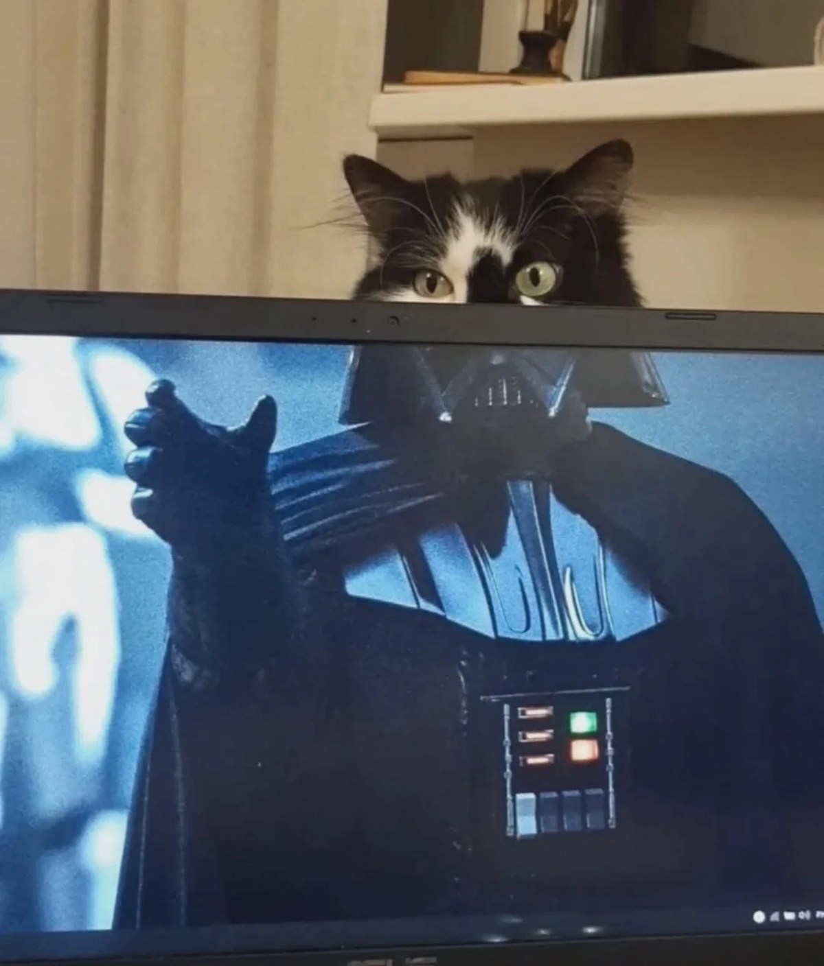 13caff39-059a-4808-a90f-2ed15a7c3fab