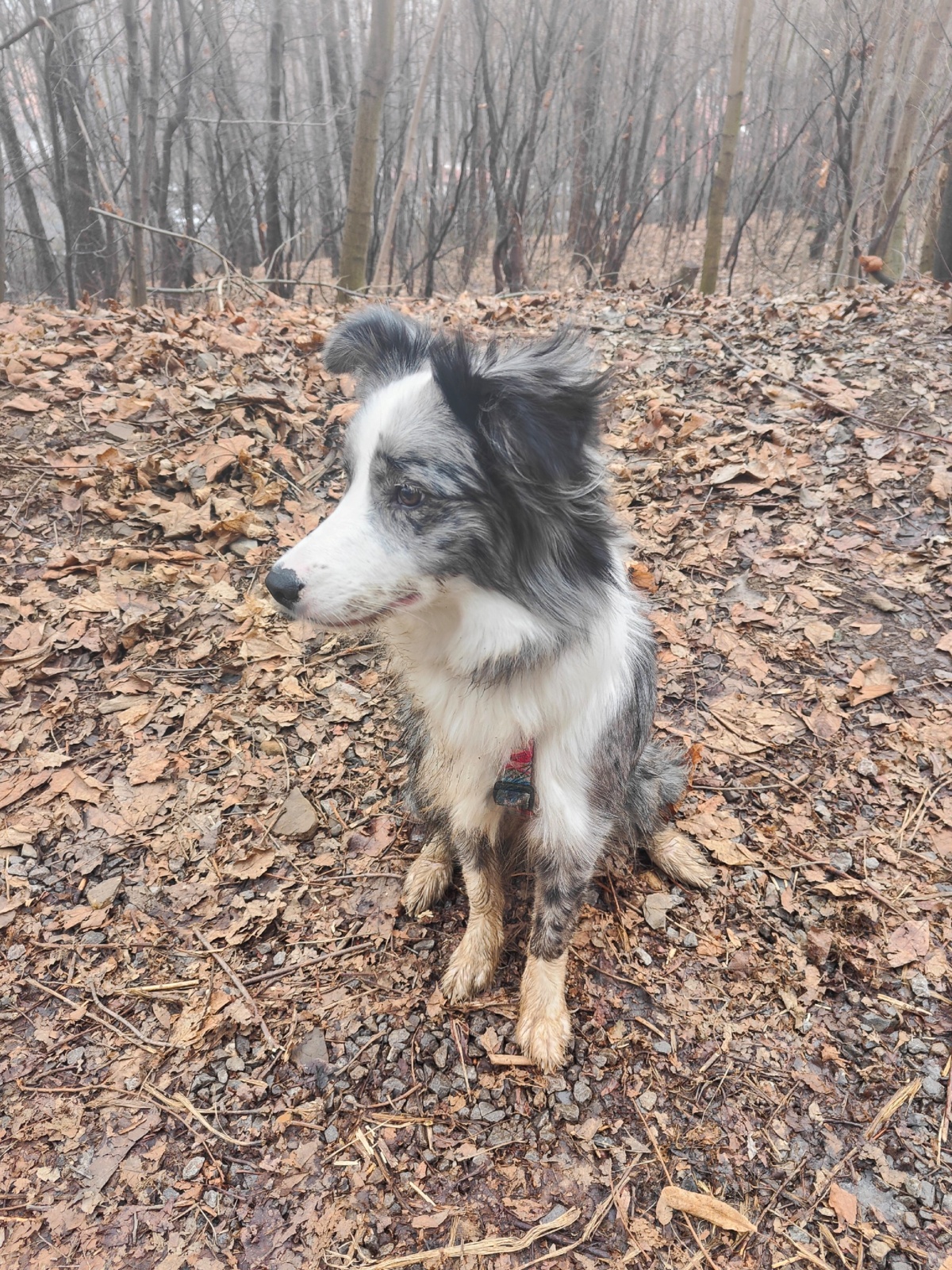 ff367d85-0134-4058-aa7d-93a145a1560e