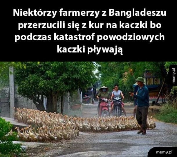 a184814c-a8ba-4d9d-85cd-e2e96285b21d