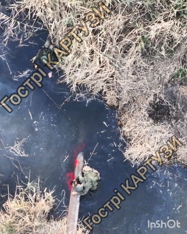 bcc6f04a-ce73-48e4-a5f4-1f473d31fabb