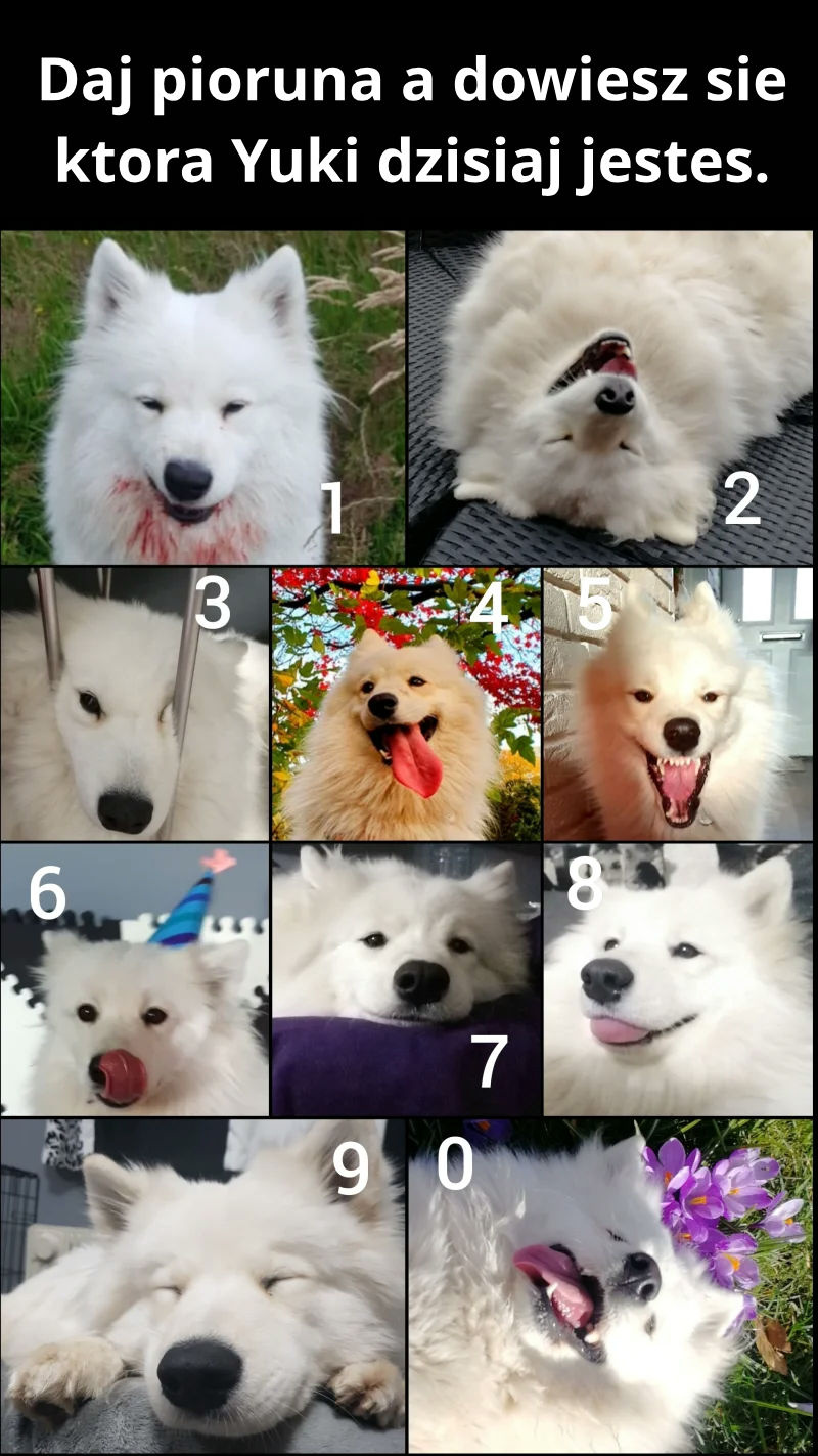 e994b58e-3bab-4d63-b6ed-0f4f5fdfbceb