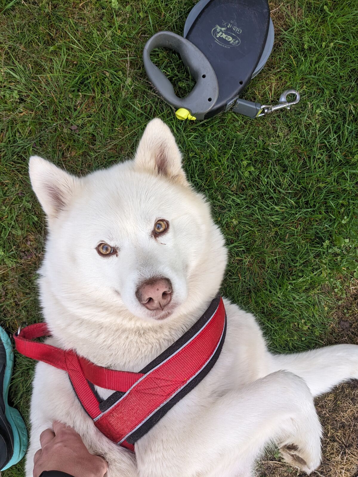 e85a41a3-cb77-43a0-9f79-2608e14c9374