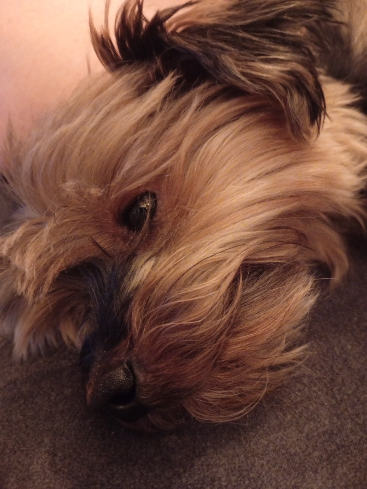 30da7a30-5851-40e0-8332-8eef5db54706