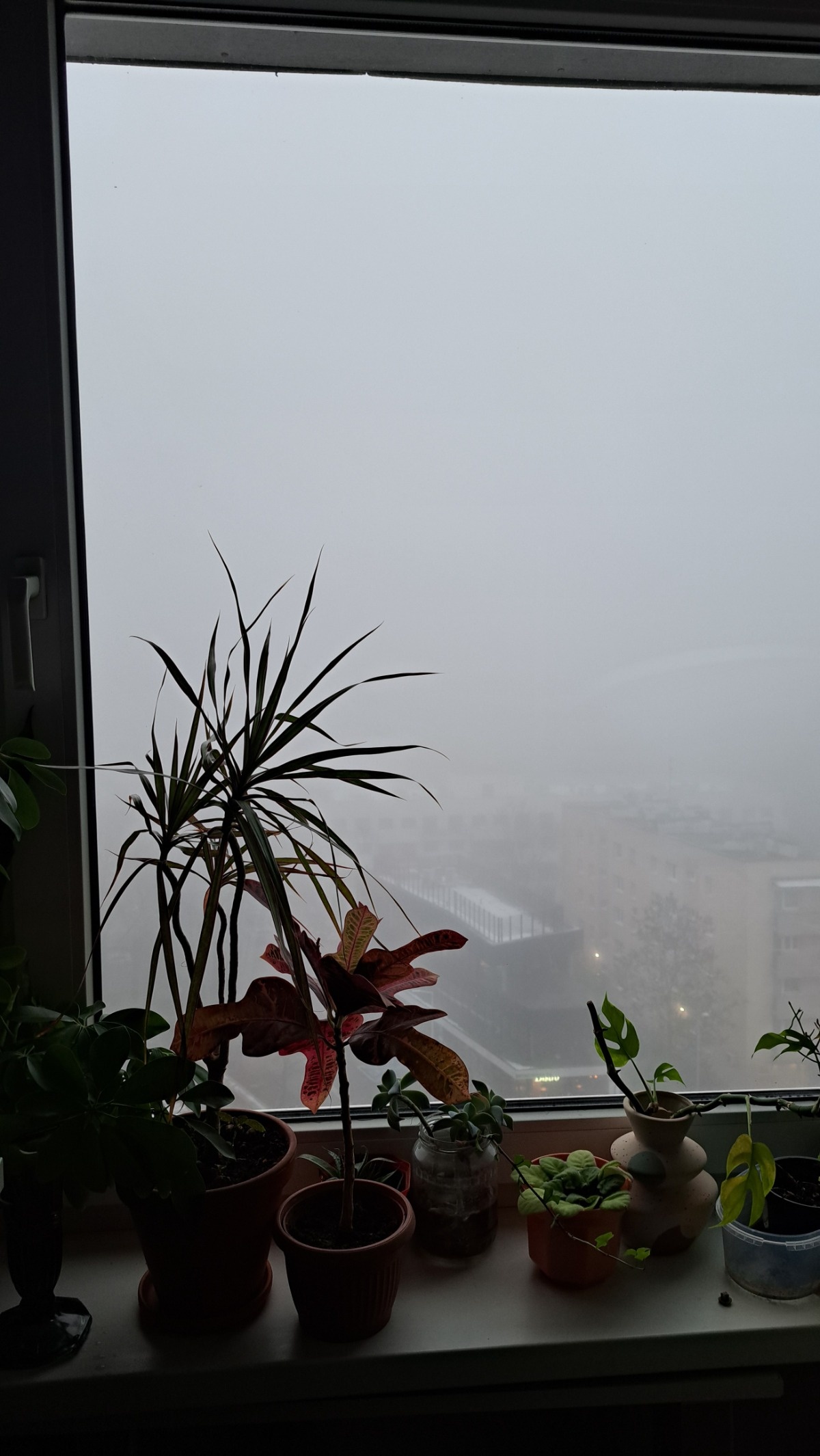 ffd73d59-c219-4bca-8307-eb47cd711e64