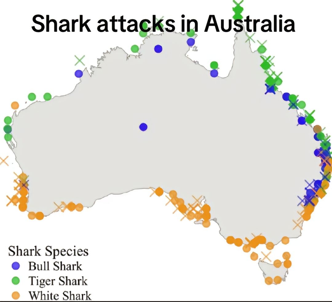 b803f45b-b418-4aae-a26f-4e8e4efe2bdc