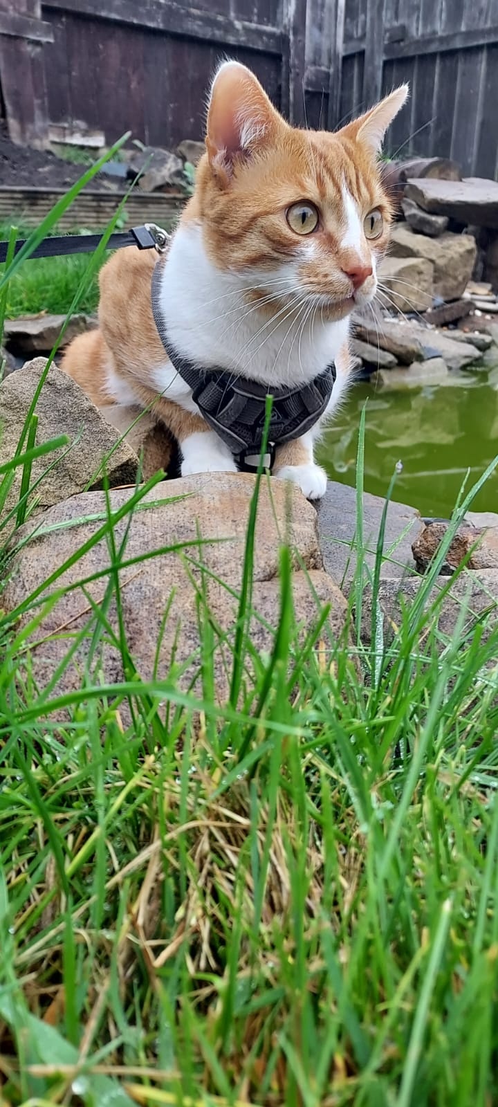 b4983fdf-9c31-43e2-a15a-89cd0420d768