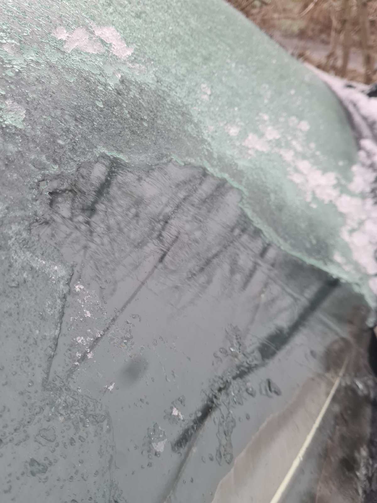 816083e7-e0d5-438b-a654-22899b840608