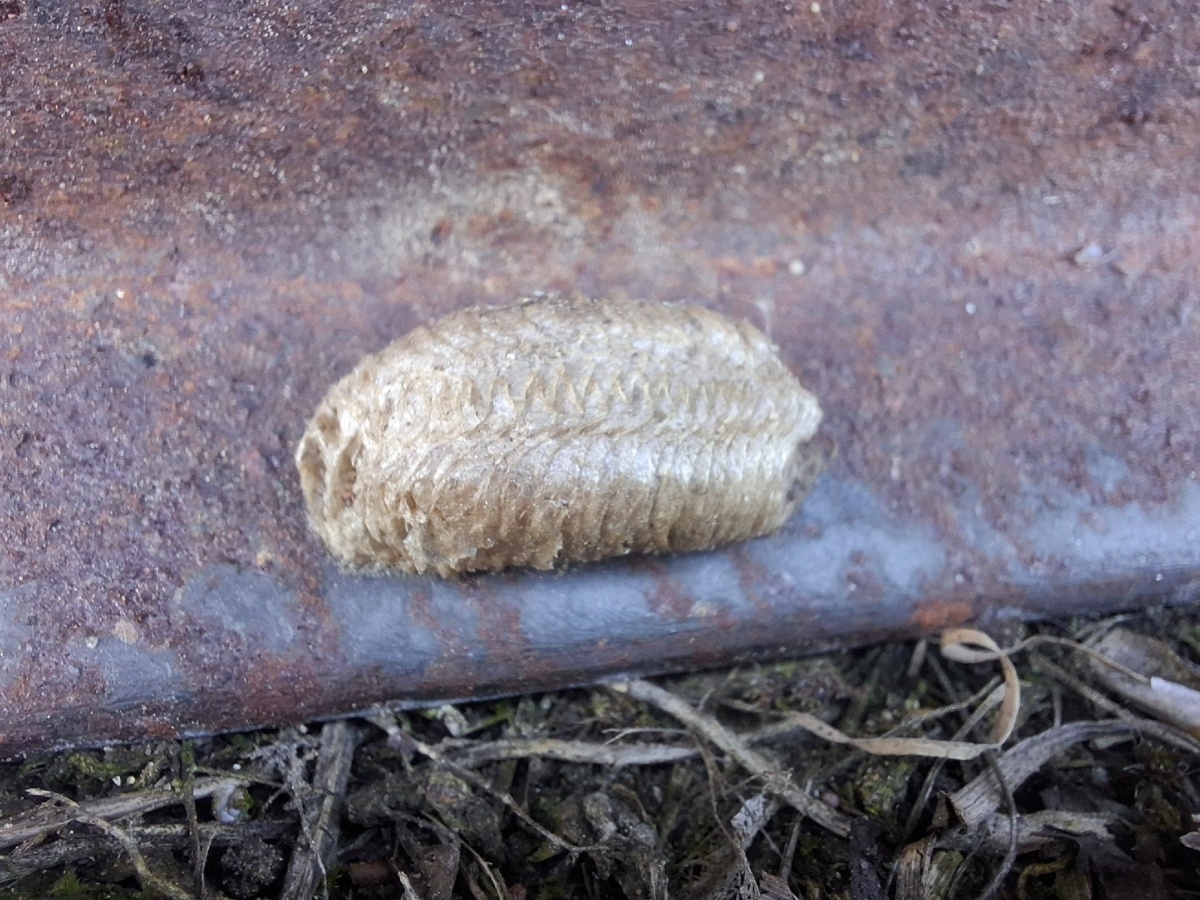 94be0f47-5c81-46d6-aef5-523ab91f35a6