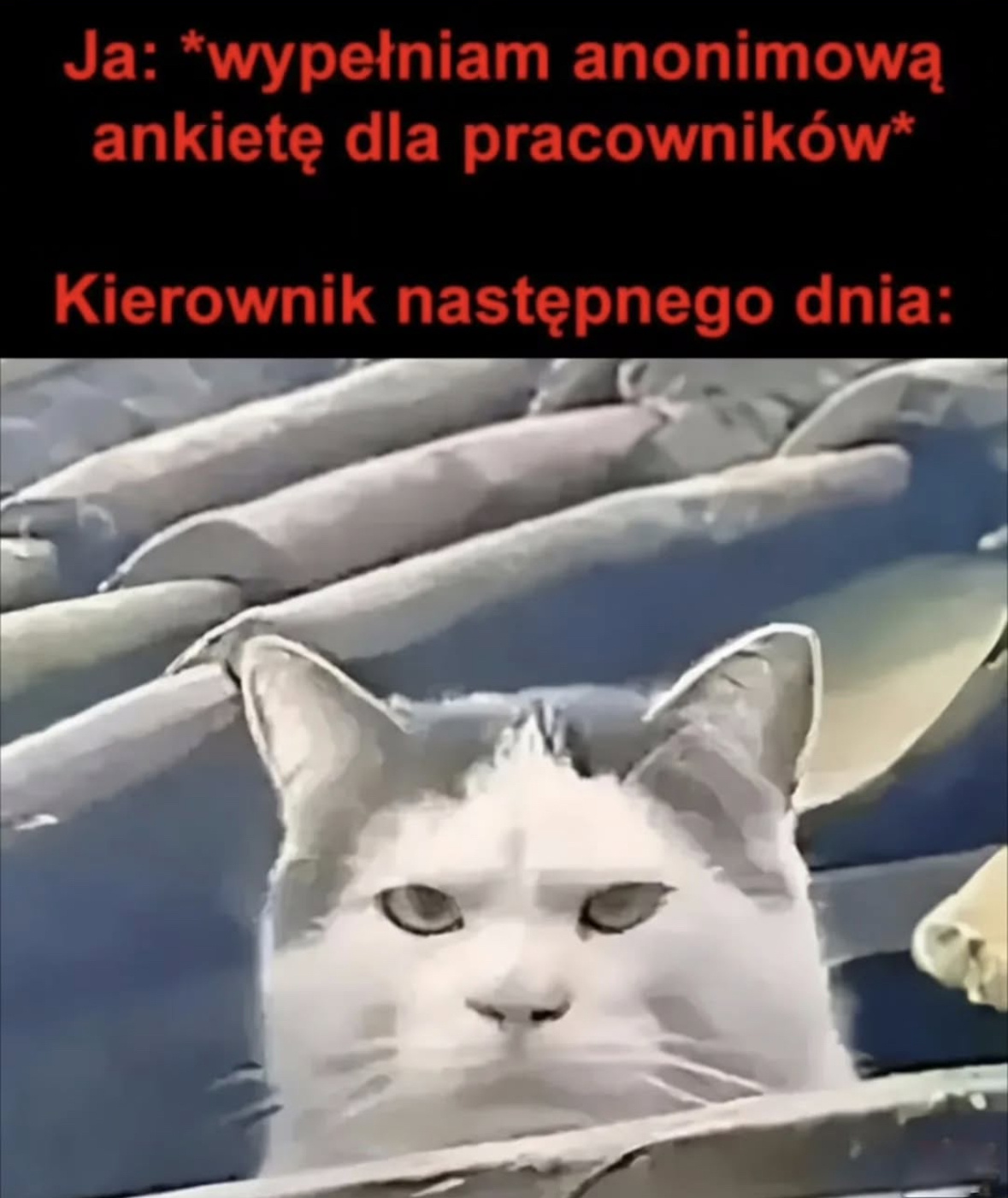 49dd4fa1-5814-4474-b1d6-85e041d05d18